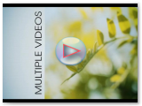Video Template Sample #12