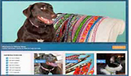 Kelsey Media Productions Web Designs